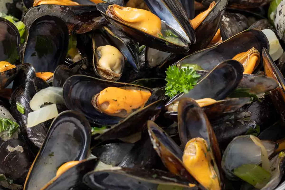 Fruits-de-mer-hotel-la-terrasse